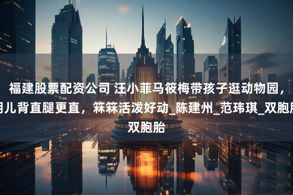 福建股票配资公司 汪小菲马筱梅带孩子逛动物园，玥儿背直腿更直，箖箖活泼好动_陈建州_范玮琪_双胞胎